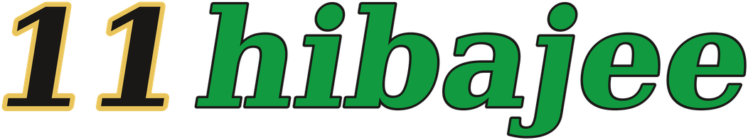 11hibajee logo